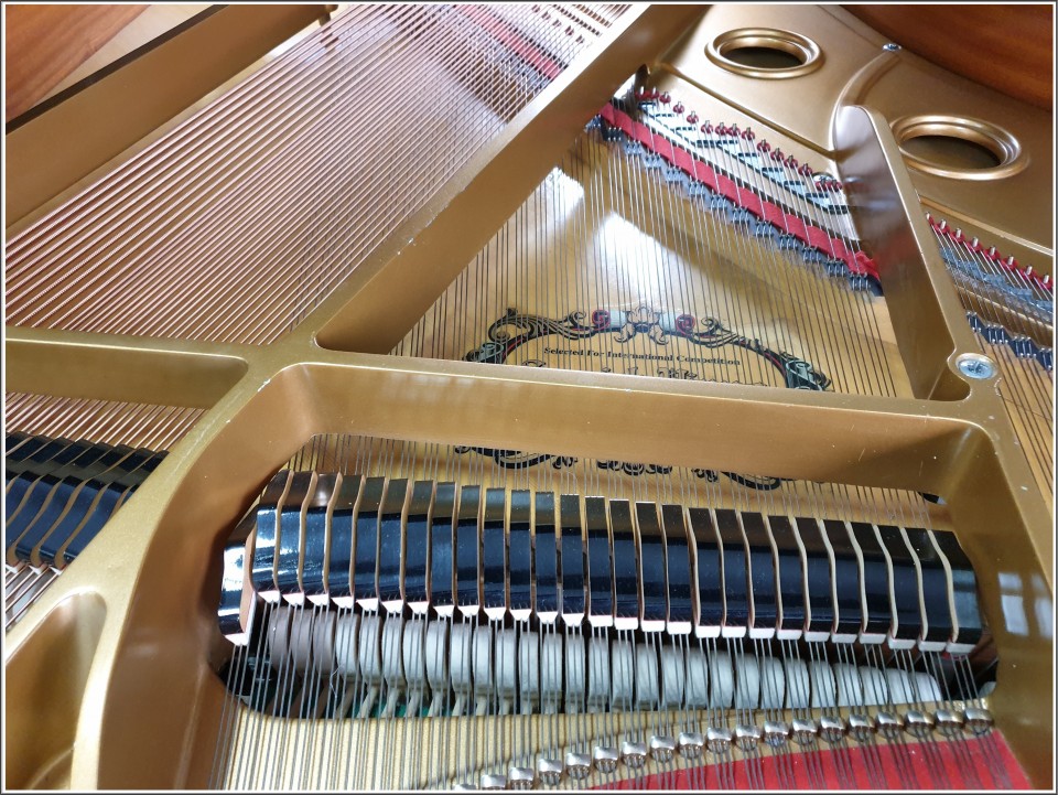 409b1c57c369484eb87e850cc71137e3_1556284