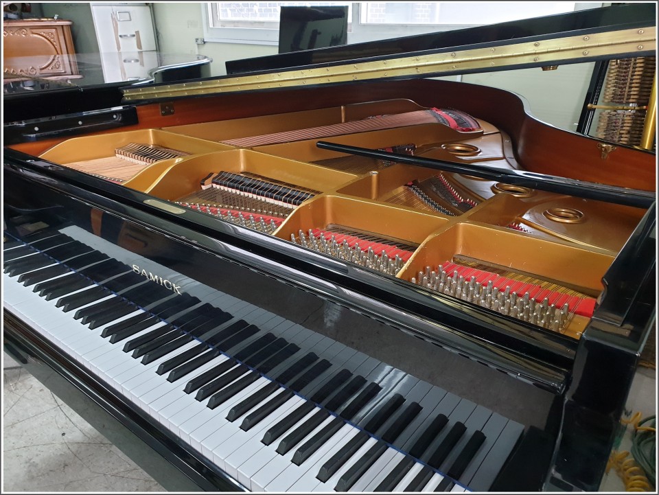 409b1c57c369484eb87e850cc71137e3_1556284