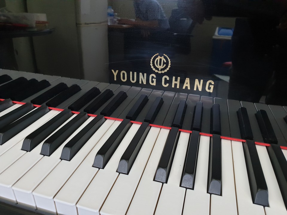 94084b506bb69fd82199248ae93d82c5_1558851