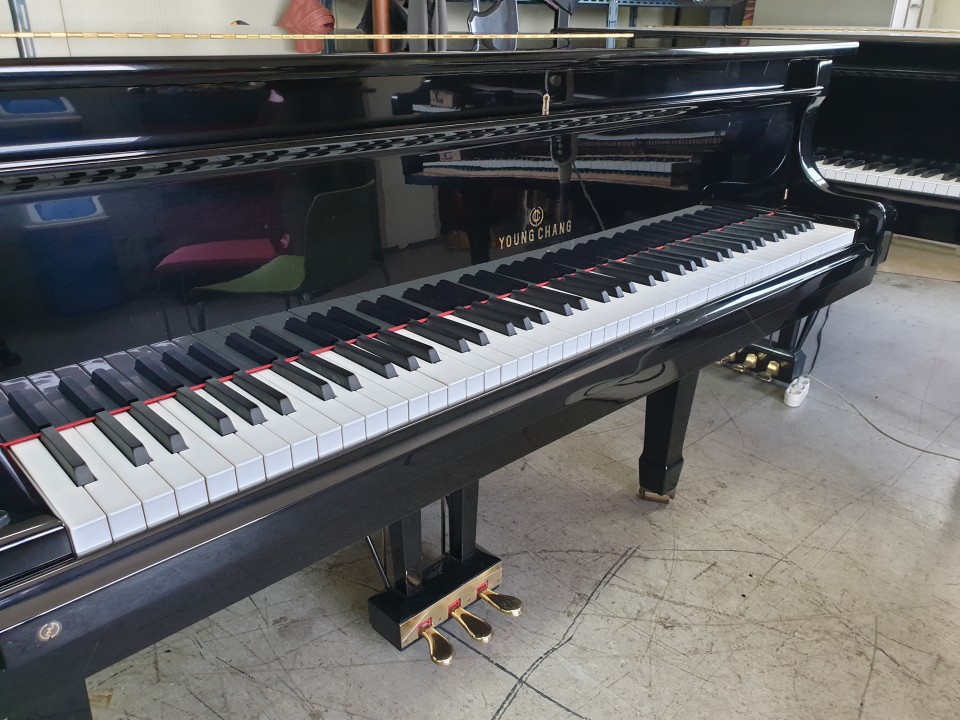 94084b506bb69fd82199248ae93d82c5_1558851