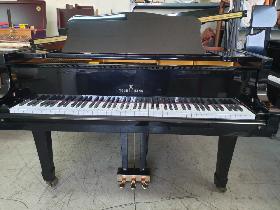 94084b506bb69fd82199248ae93d82c5_1558851