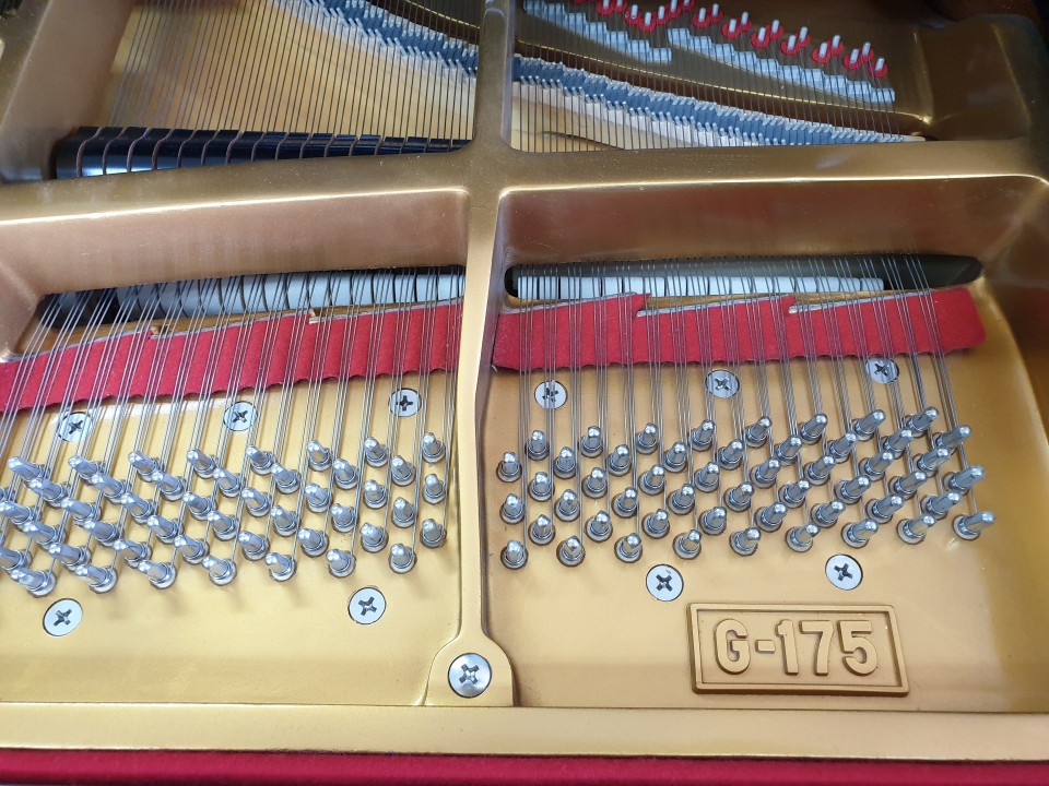 94084b506bb69fd82199248ae93d82c5_1558851