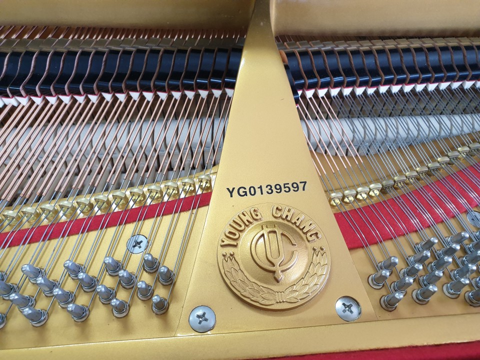 94084b506bb69fd82199248ae93d82c5_1558851