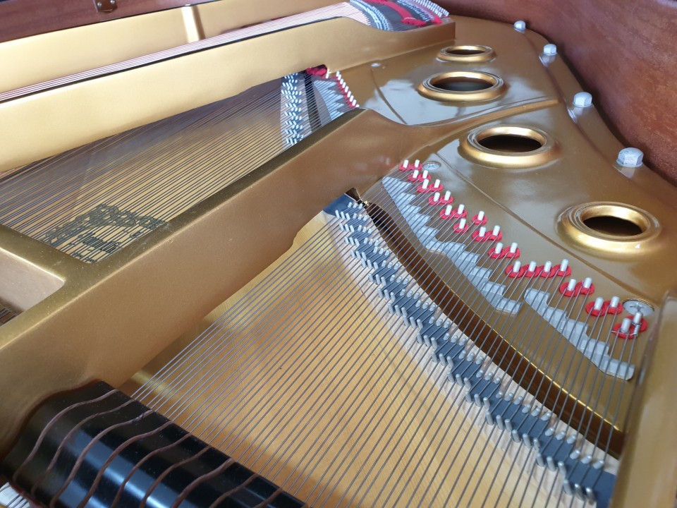 94084b506bb69fd82199248ae93d82c5_1558851