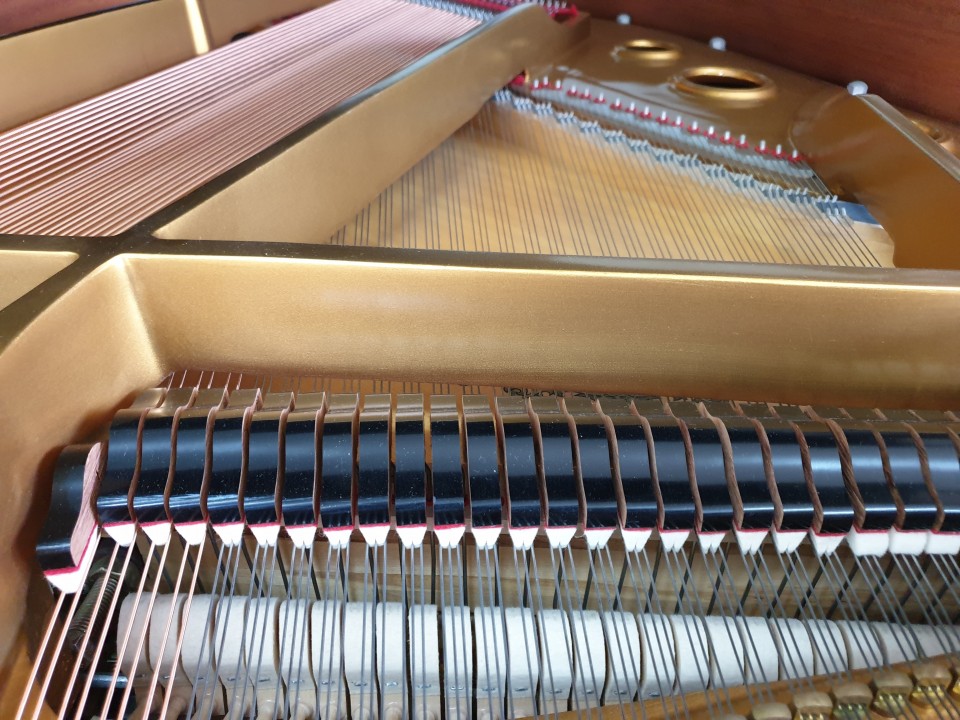 94084b506bb69fd82199248ae93d82c5_1558851