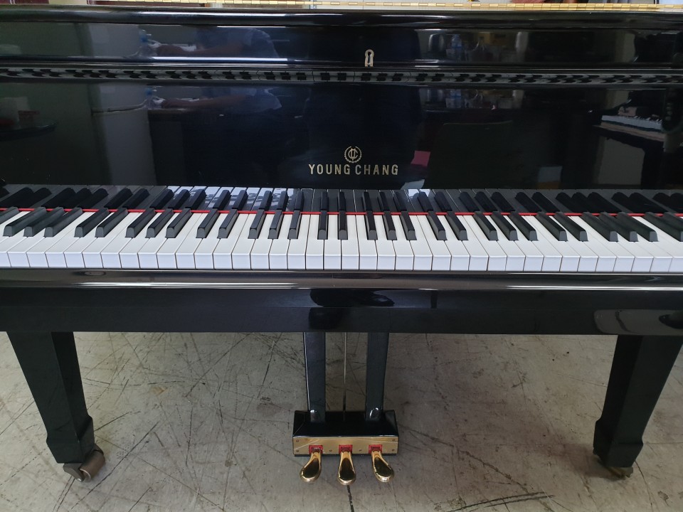 94084b506bb69fd82199248ae93d82c5_1558851