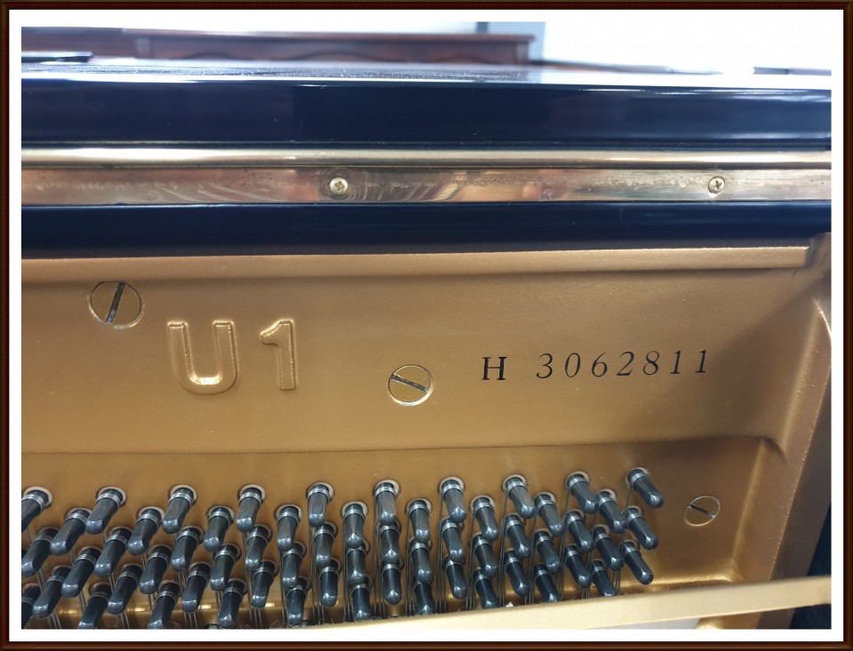 422855565ee43ae4861abbe3e48924fa_1561272