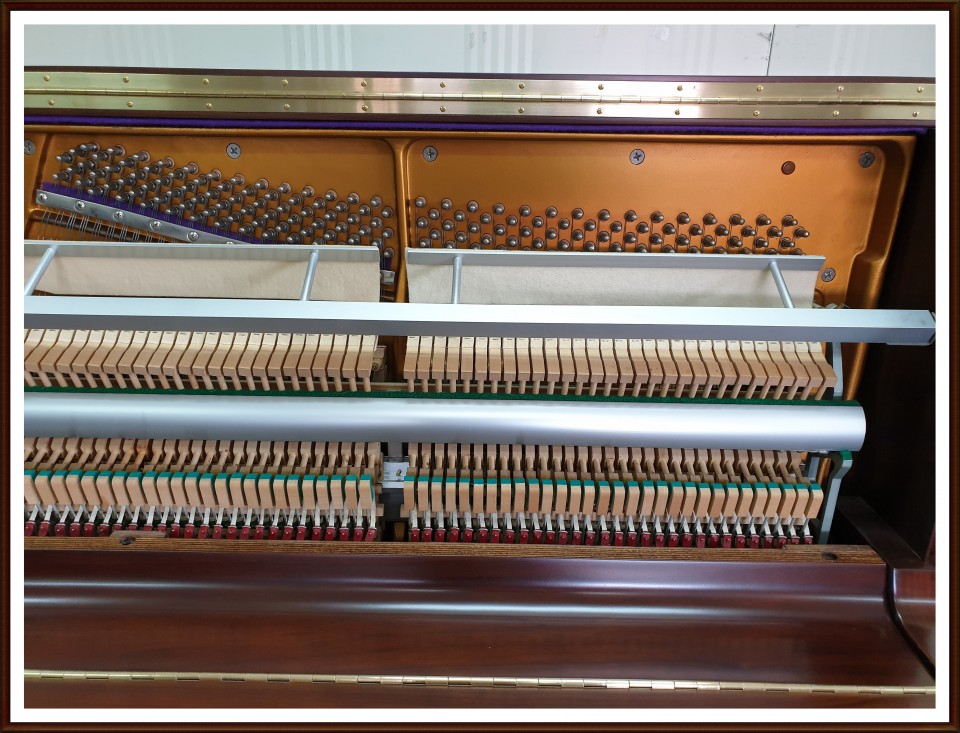 422855565ee43ae4861abbe3e48924fa_1561274