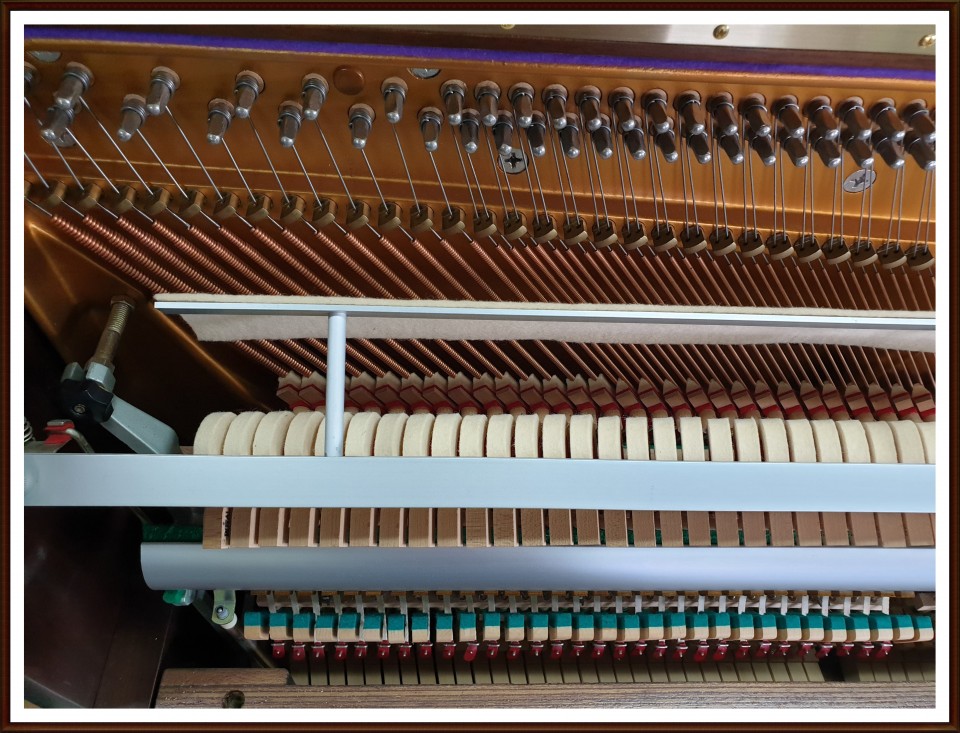 422855565ee43ae4861abbe3e48924fa_1561274