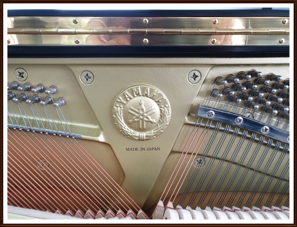 422855565ee43ae4861abbe3e48924fa_1561277