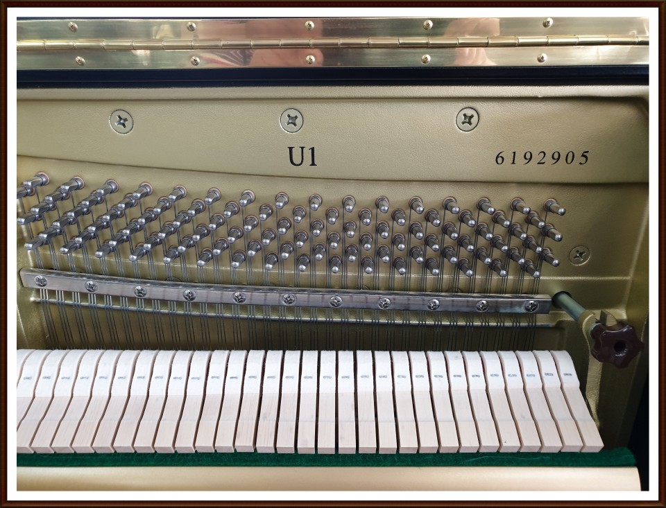 422855565ee43ae4861abbe3e48924fa_1561277