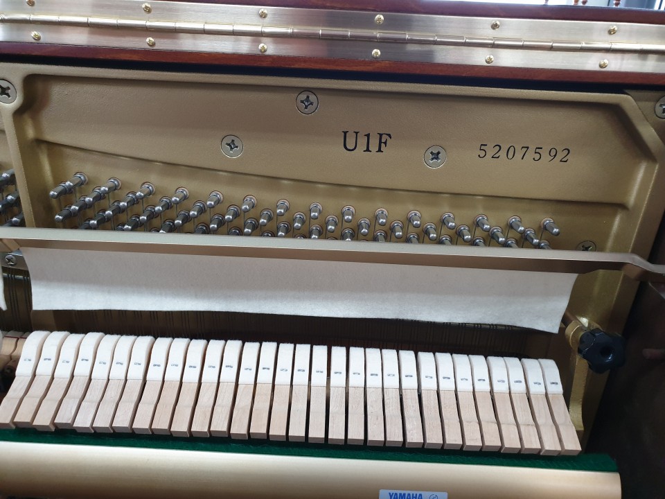 ac58cc7d3797e429c210c1022abac7f5_1567513