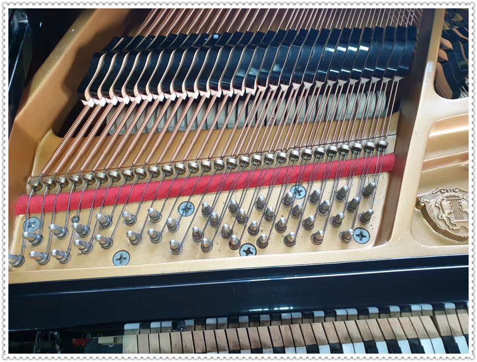 a9a90588445ab2faa8de85c8656779a8_1575112