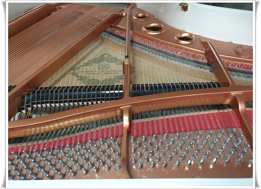 dfd526b2e58713da892498f1c4457221_1583071