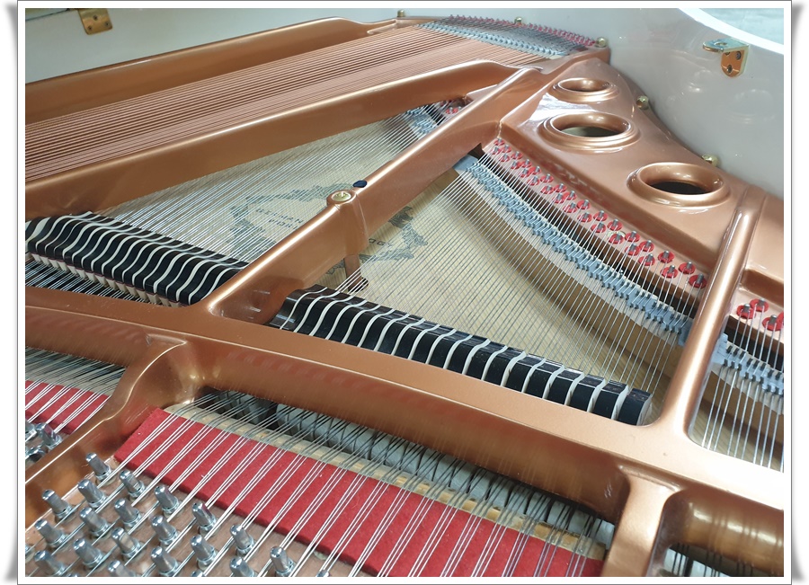 dfd526b2e58713da892498f1c4457221_1583071