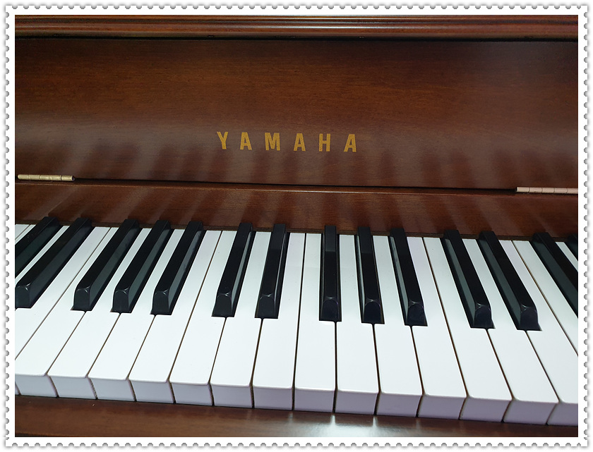 51d4c20b8ca43688c361b6a3725186dd_1587875