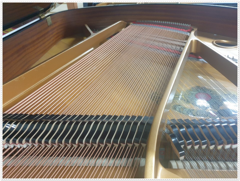 5e47a43dd44e2fe3fd2e0317f29ba76d_1598747