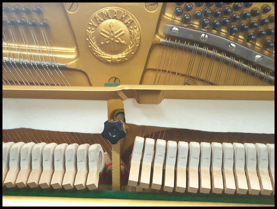 0bd8989e95b14078c1558b39dba27ecf_1601607