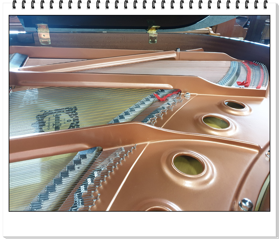 41c4f0dee1c1985b7a5c5e28fe08f792_1607080