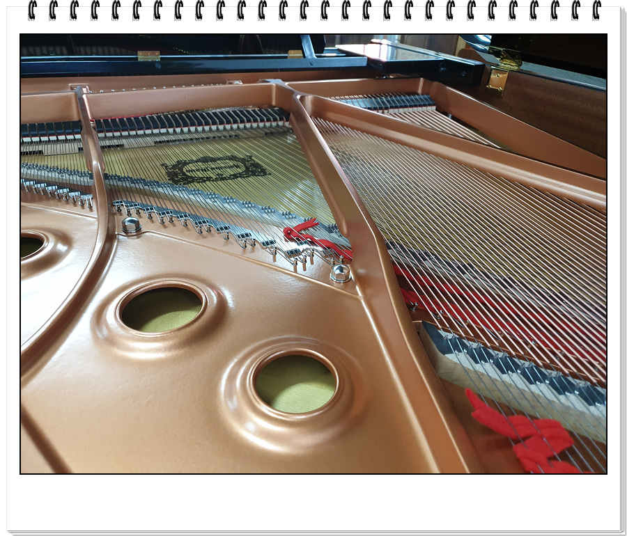 41c4f0dee1c1985b7a5c5e28fe08f792_1607080