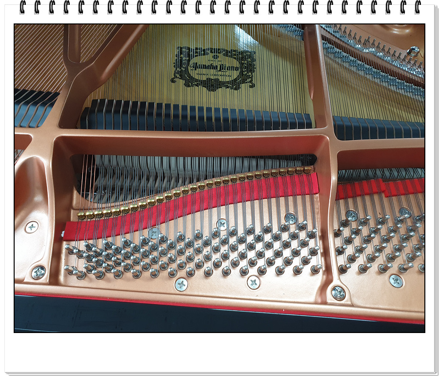 41c4f0dee1c1985b7a5c5e28fe08f792_1607080