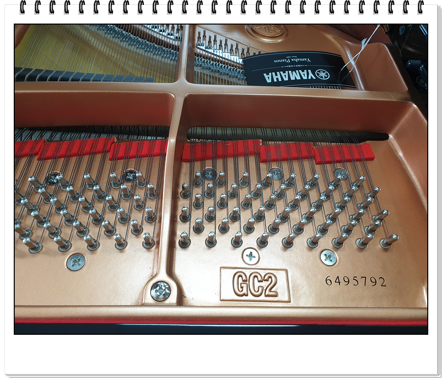 41c4f0dee1c1985b7a5c5e28fe08f792_1607080