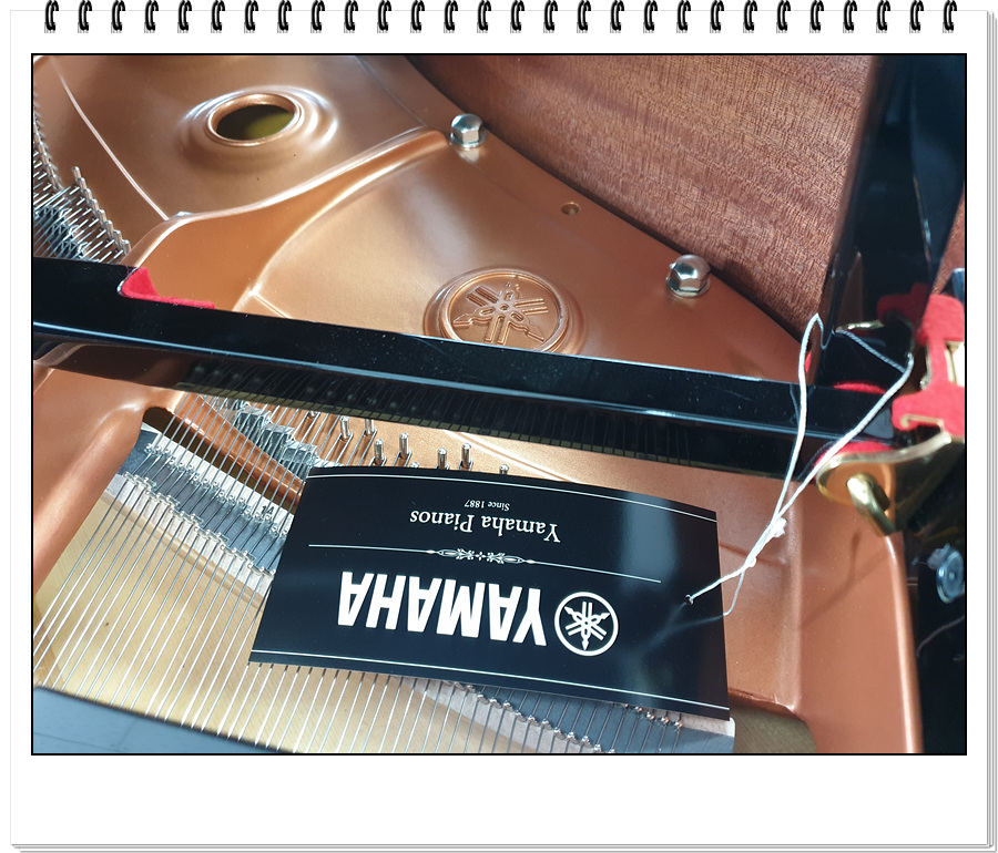 41c4f0dee1c1985b7a5c5e28fe08f792_1607080