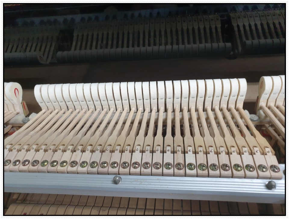 75f21850378500a9642f46170f1d3966_1618306