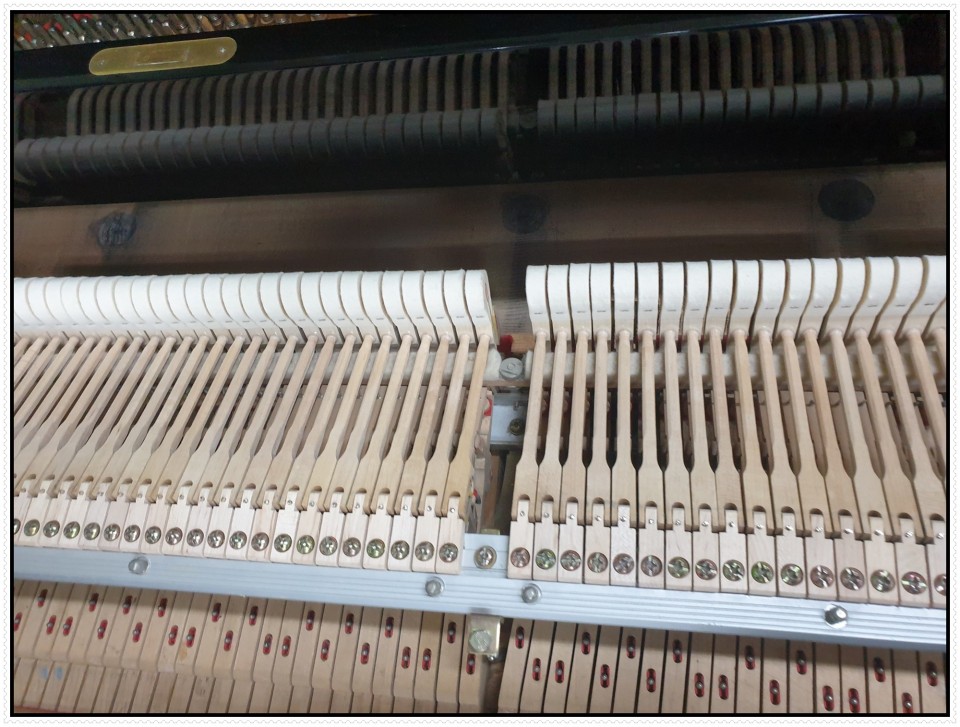 75f21850378500a9642f46170f1d3966_1618306