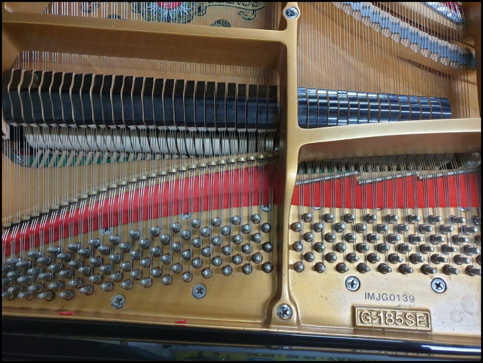 ec781309d7a6031234842f7d016ab0bc_1622108