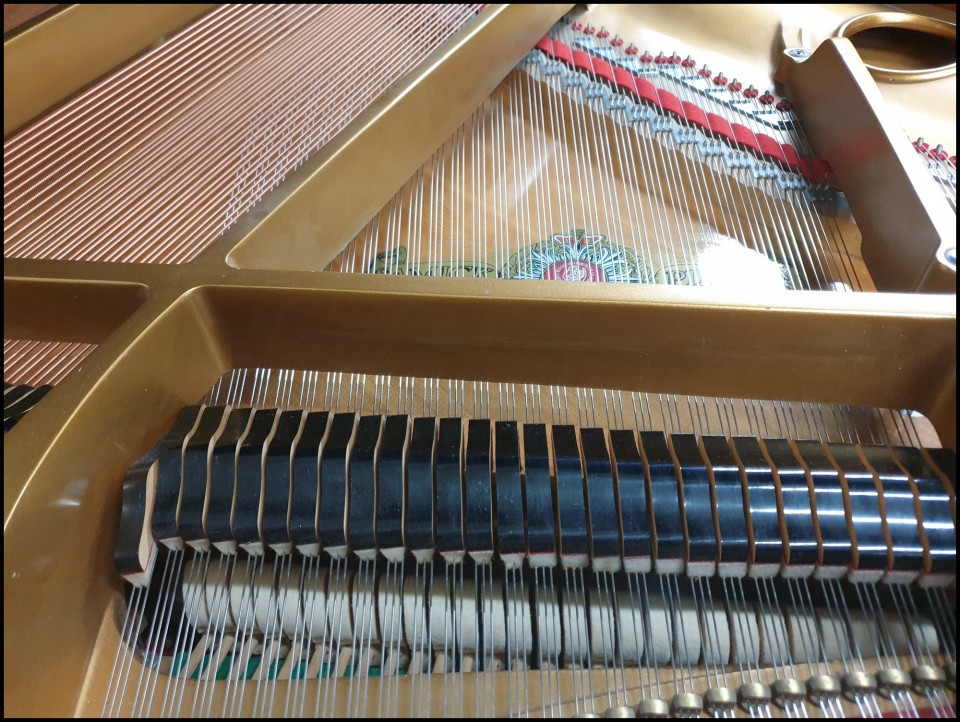 ec781309d7a6031234842f7d016ab0bc_1622108