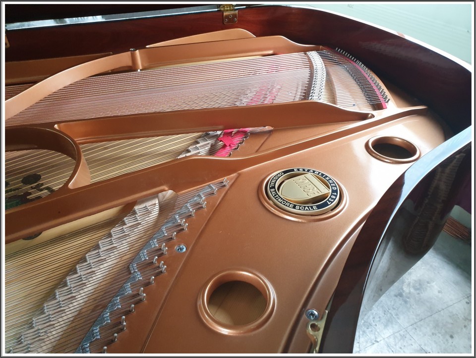 7ff5b4c4f5ef9c2b6c1b7bec5405886c_1628995