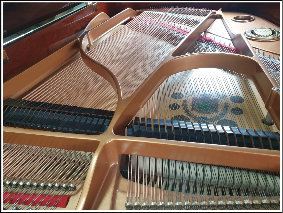 7ff5b4c4f5ef9c2b6c1b7bec5405886c_1628995