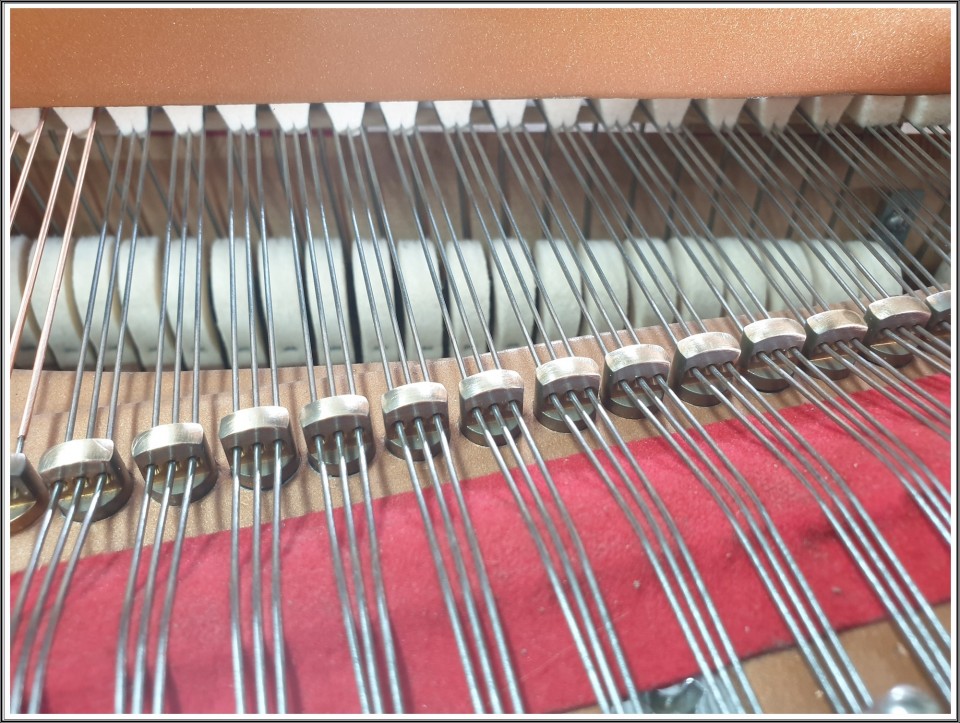 7ff5b4c4f5ef9c2b6c1b7bec5405886c_1628995