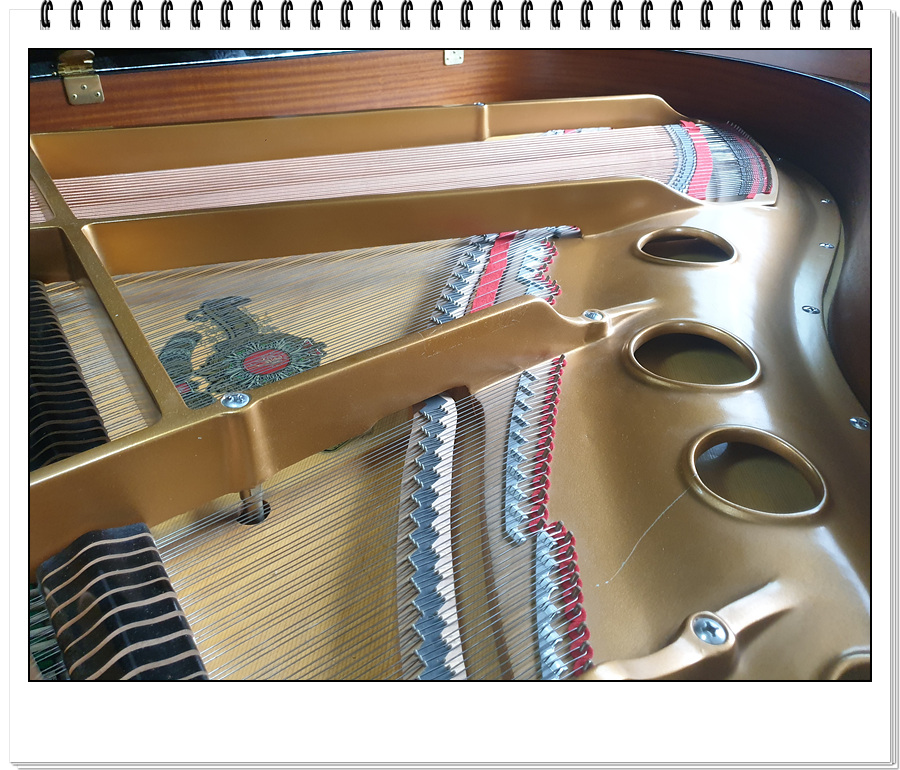 a9bcf504d1fbff4b3443a8f3ff2cbd12_1633165