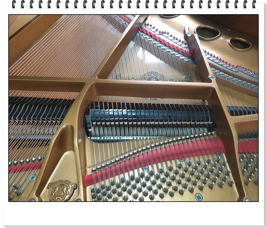 a9bcf504d1fbff4b3443a8f3ff2cbd12_1633165