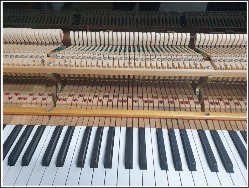 b06c371652d9fee438fdabb82aed1dd4_1635586