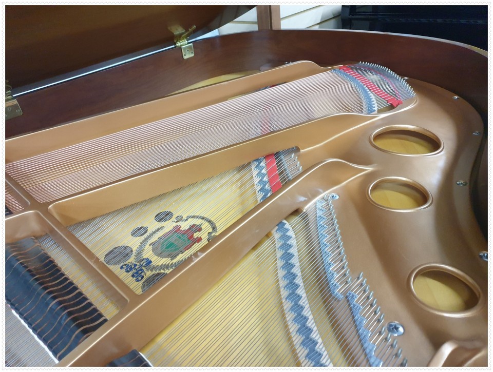 aed82b5f2ba570e7e5573e86fcfd932b_1637464