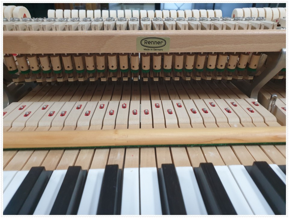 aed82b5f2ba570e7e5573e86fcfd932b_1637464