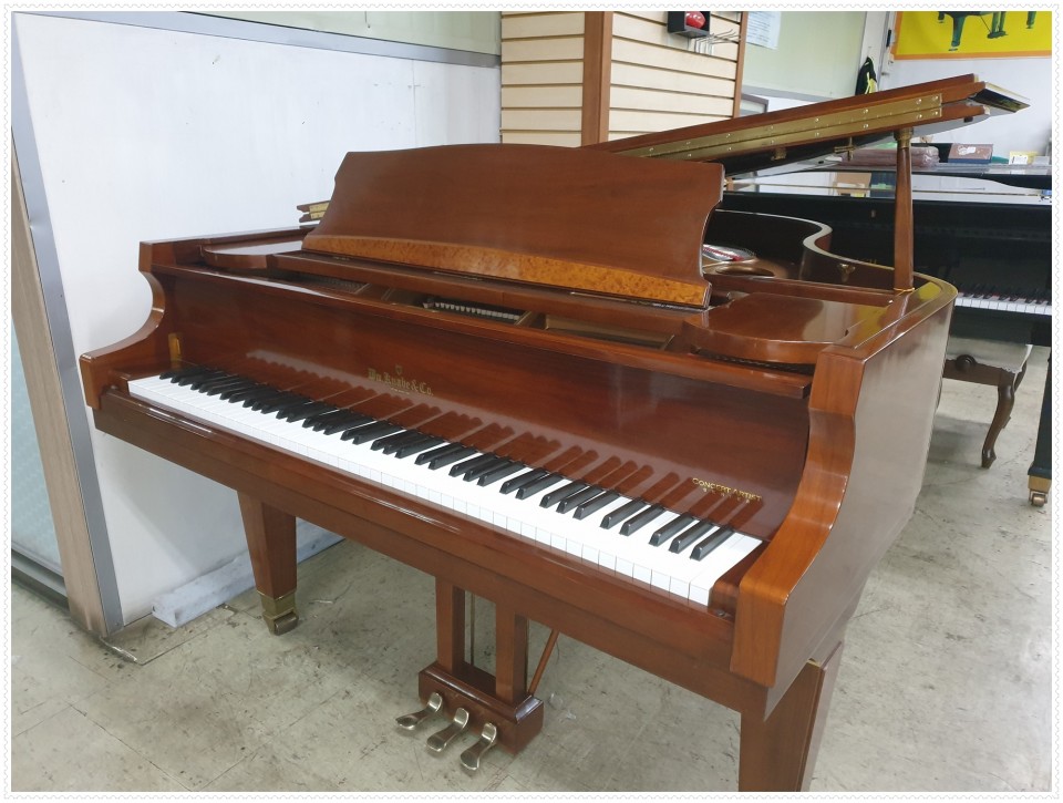 aed82b5f2ba570e7e5573e86fcfd932b_1637464