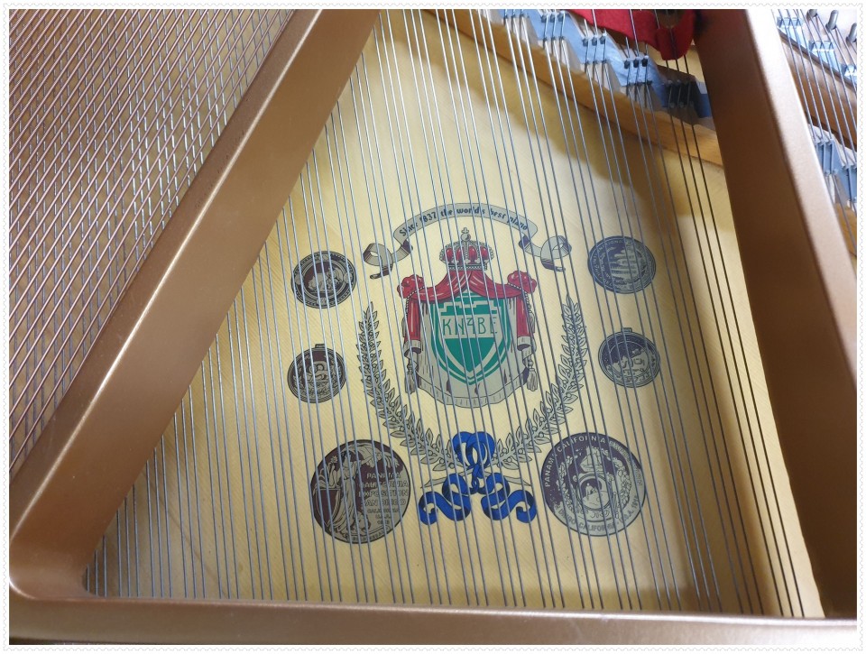 aed82b5f2ba570e7e5573e86fcfd932b_1637464