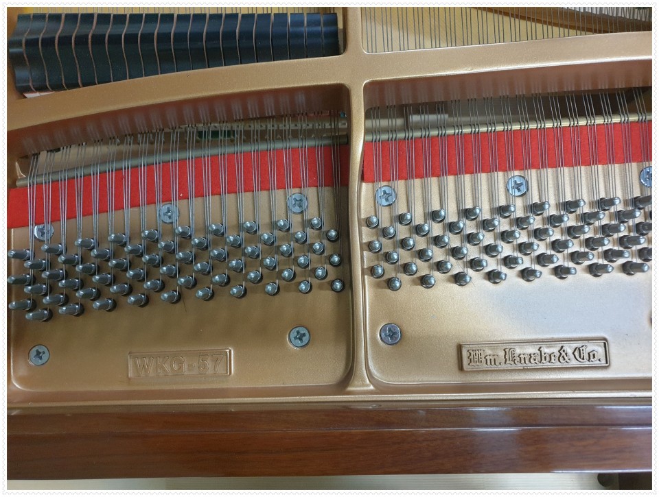 aed82b5f2ba570e7e5573e86fcfd932b_1637464