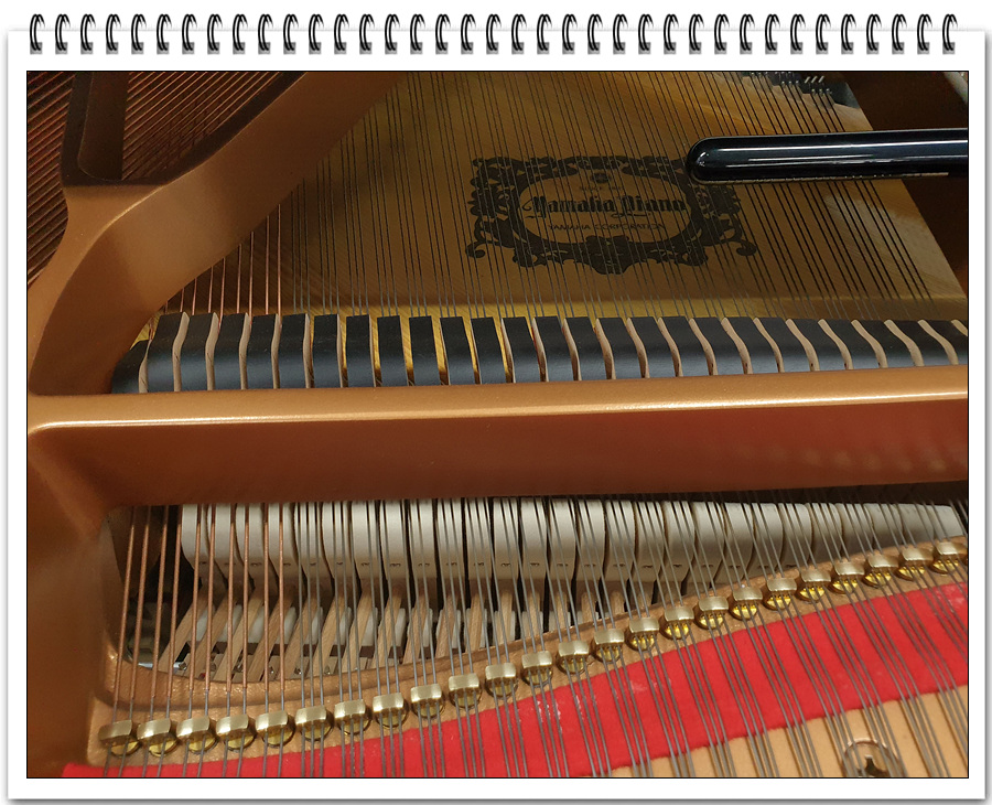 b448b6aee7054ea0c812def942ffb9d6_1640394