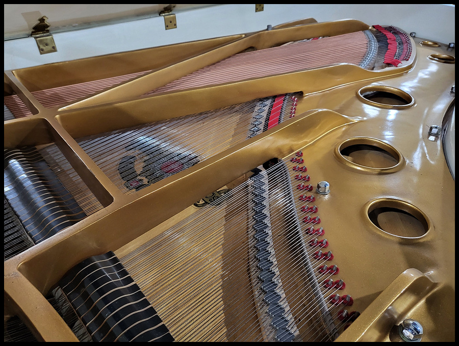 e21de0f61d1bab35a7d69e561218595e_1647517