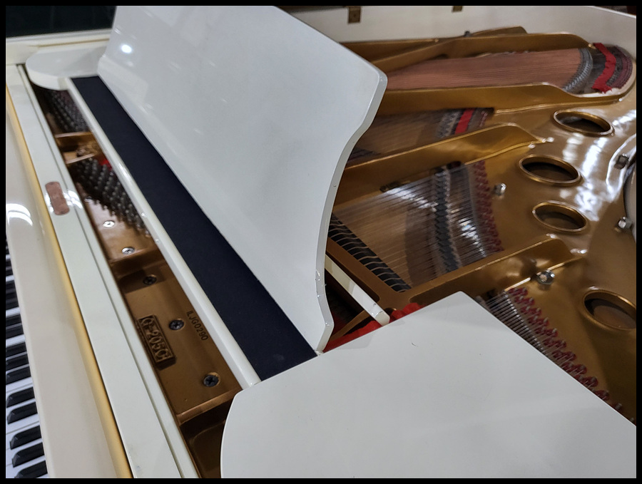 e21de0f61d1bab35a7d69e561218595e_1647517