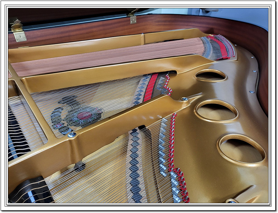 8cd89149bd9ed7efaef18ebb37b6f9c0_1653180