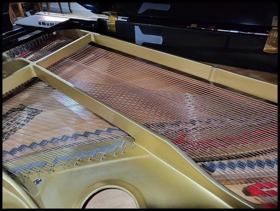 06732cd555b3e022d21146c322768354_1664101961_2323.jpg 06732cd555b3e022d21146c322768354_1664101