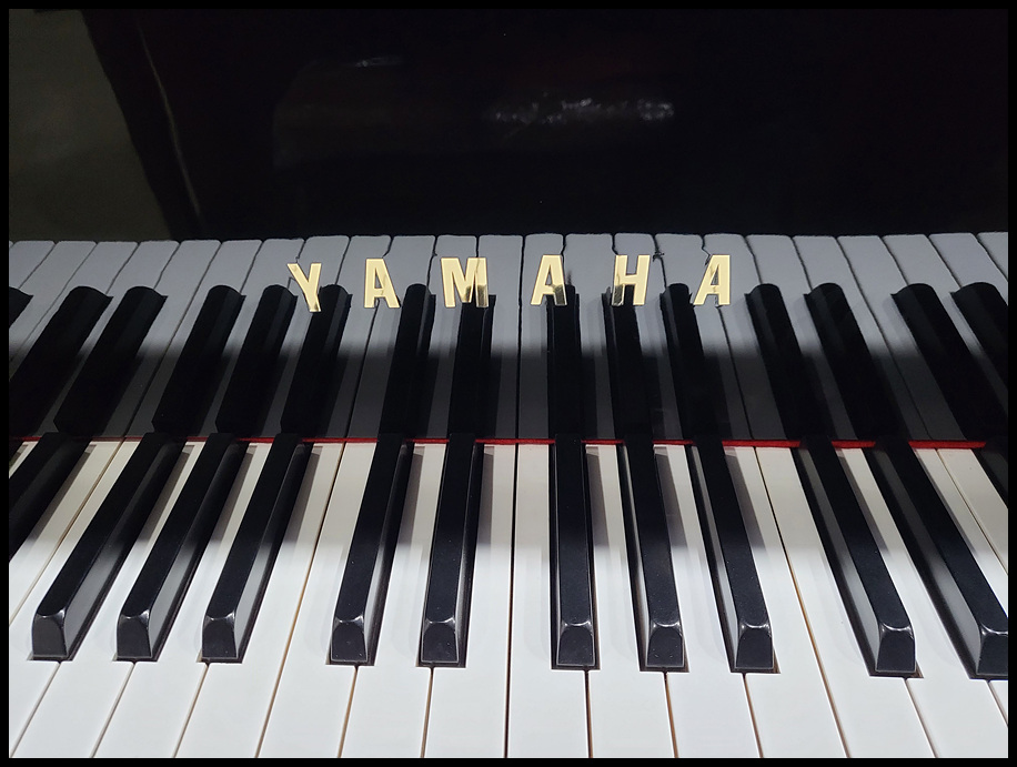 1f55b3252326de3c787d0e8f3c7db907_1671343