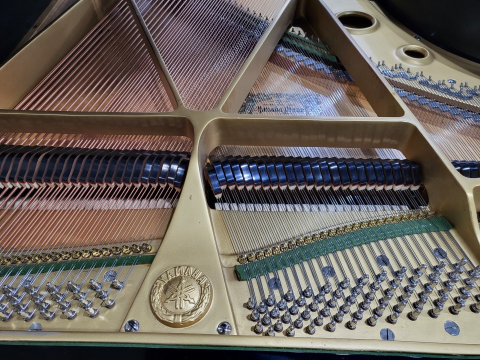 1f55b3252326de3c787d0e8f3c7db907_1671343