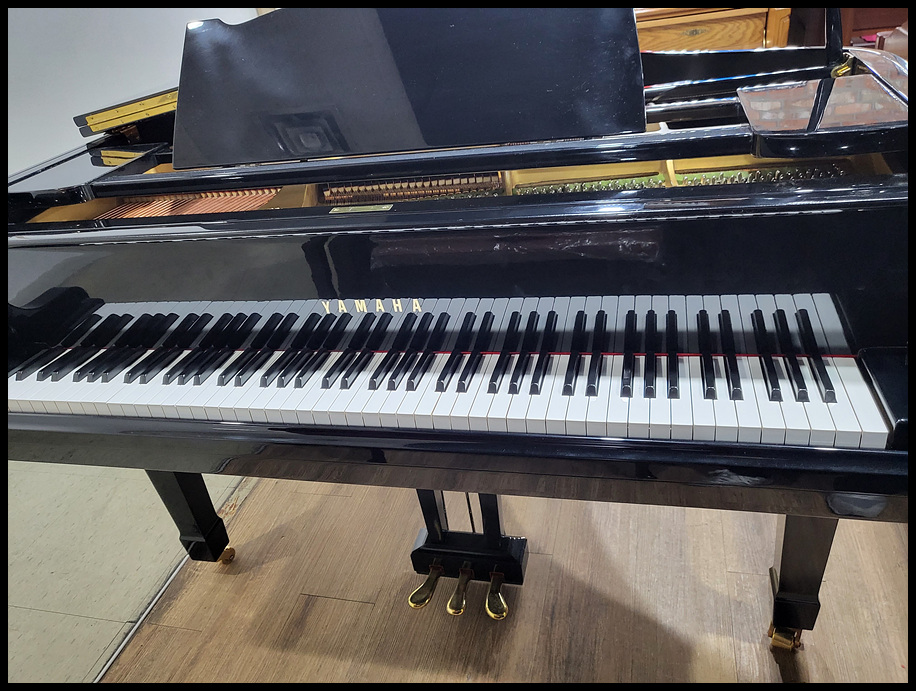 0a99594a3cc8062c5b75c1d82e3c1fe3_1673608